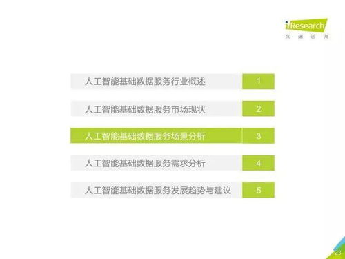 《人工智能基础数据服务与软件开发 驱动AI产业的双引擎——中国人工智能基础数据服务行业报告》